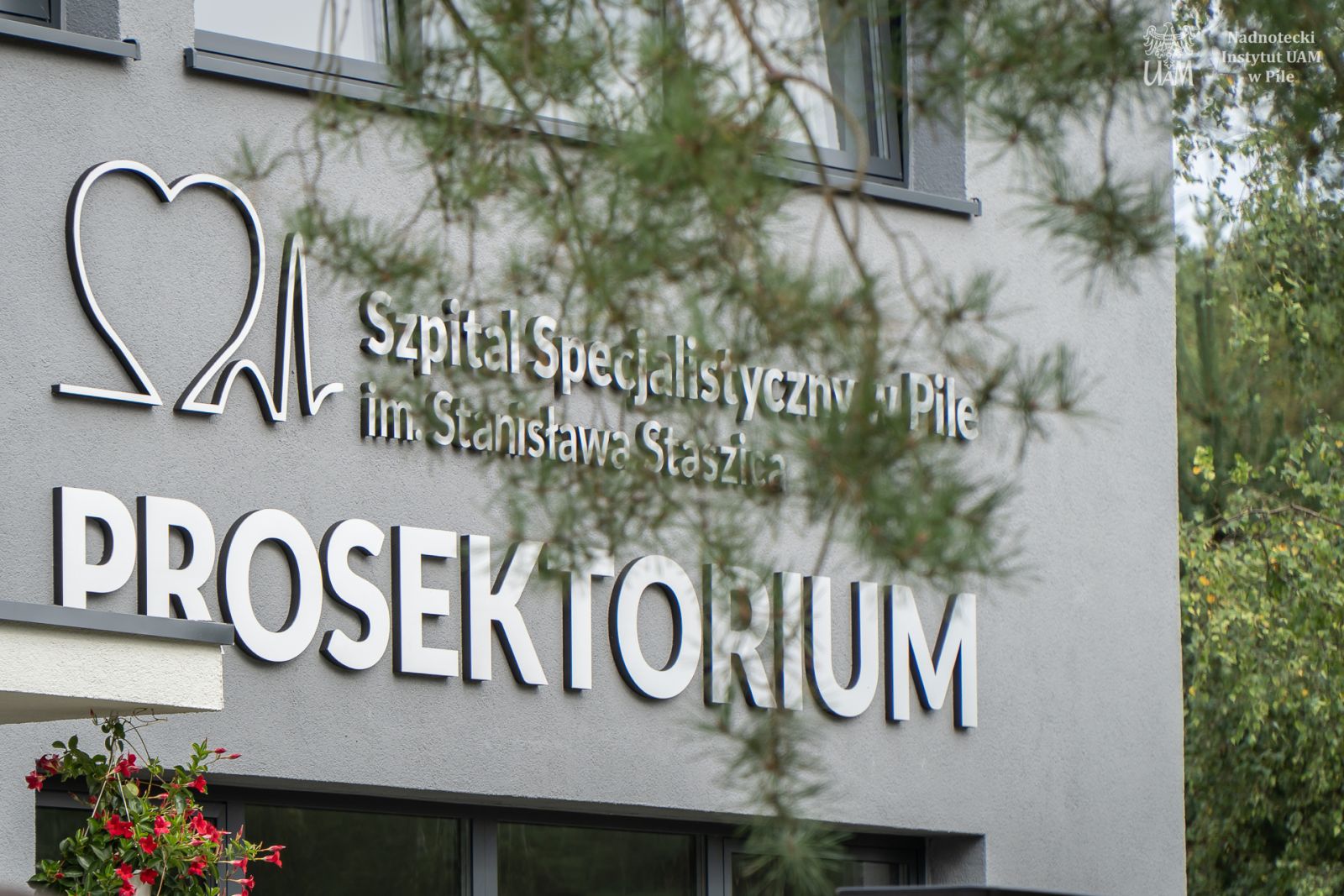 Szyld nad wejściem do prosektorium